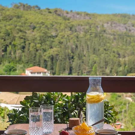 Zakynthos Shipwreck Nearby&easy Parking&barbecue Patio Agios Nikolaos (Zakynthos)